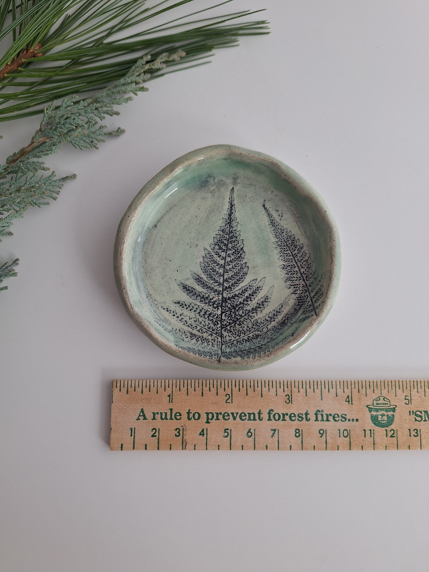 Little Fern Plate