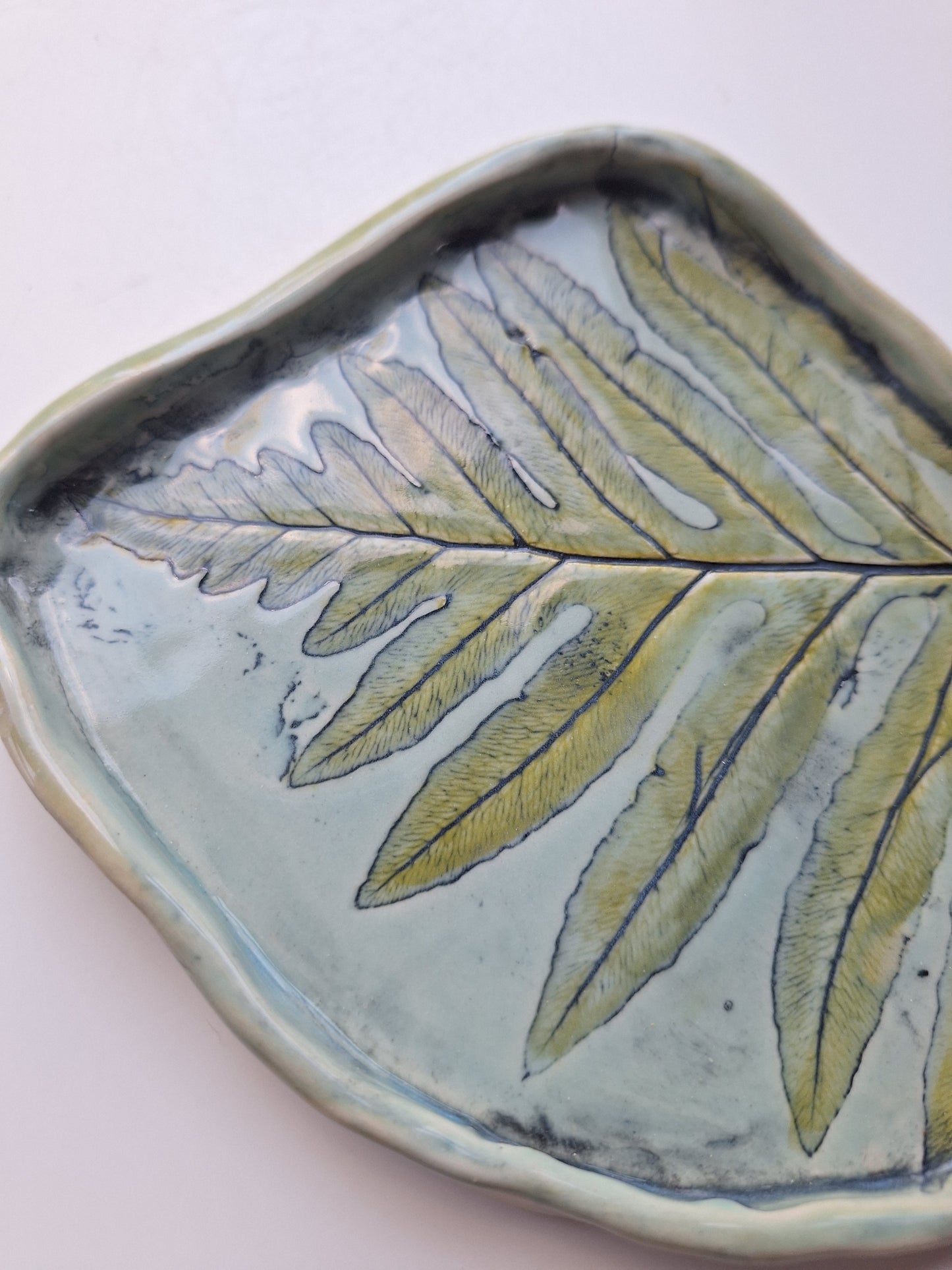 Sensitive Fern Plate