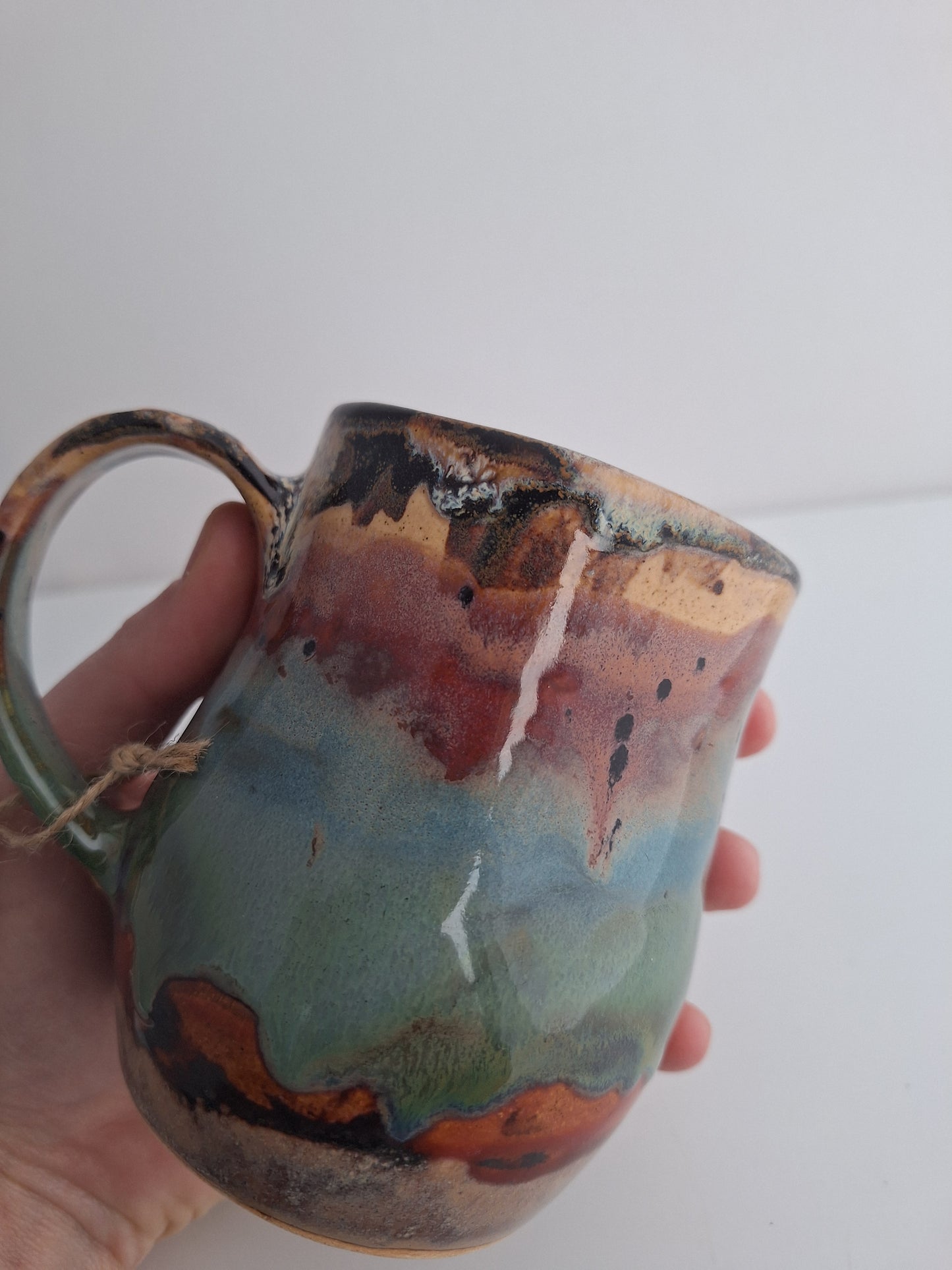 Canyon Vista Mug