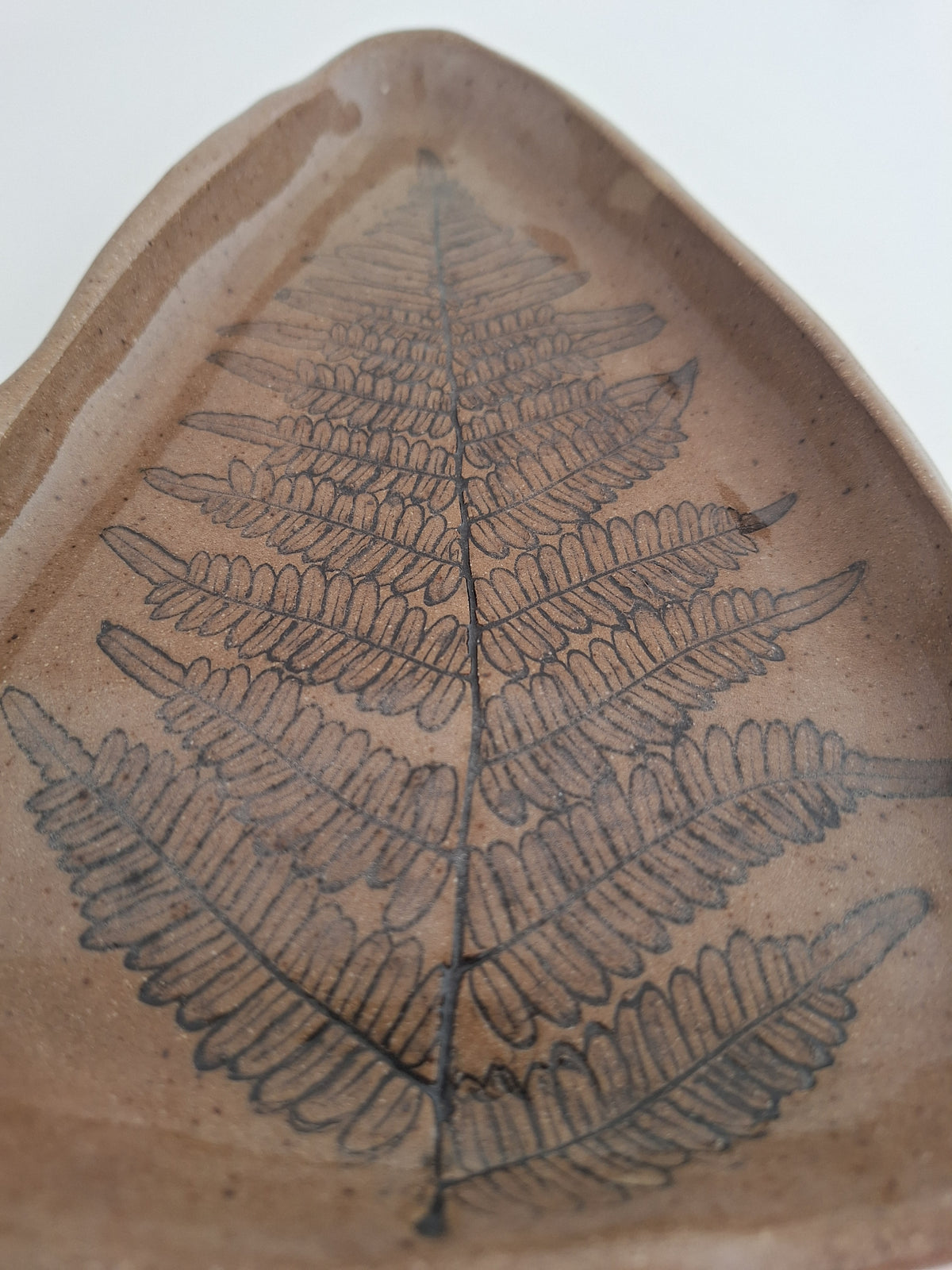 Wild Fern Plate