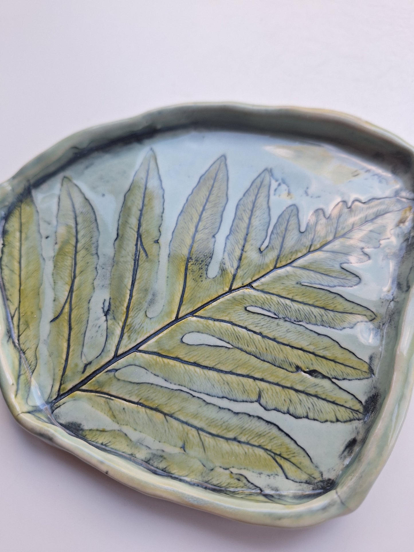 Sensitive Fern Plate
