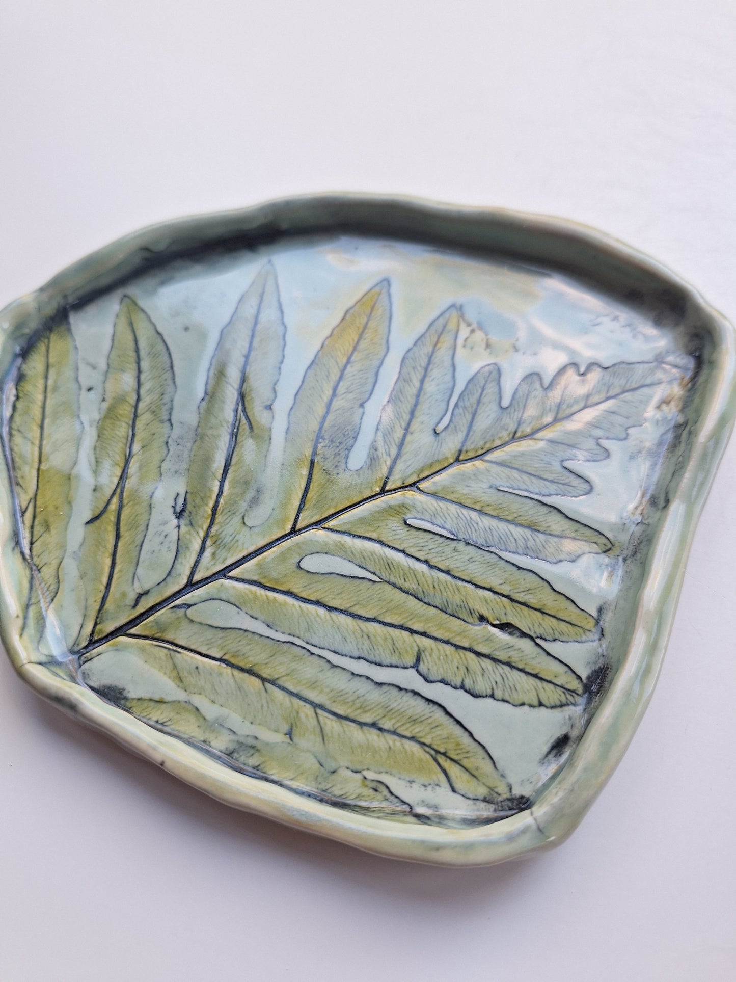Sensitive Fern Plate