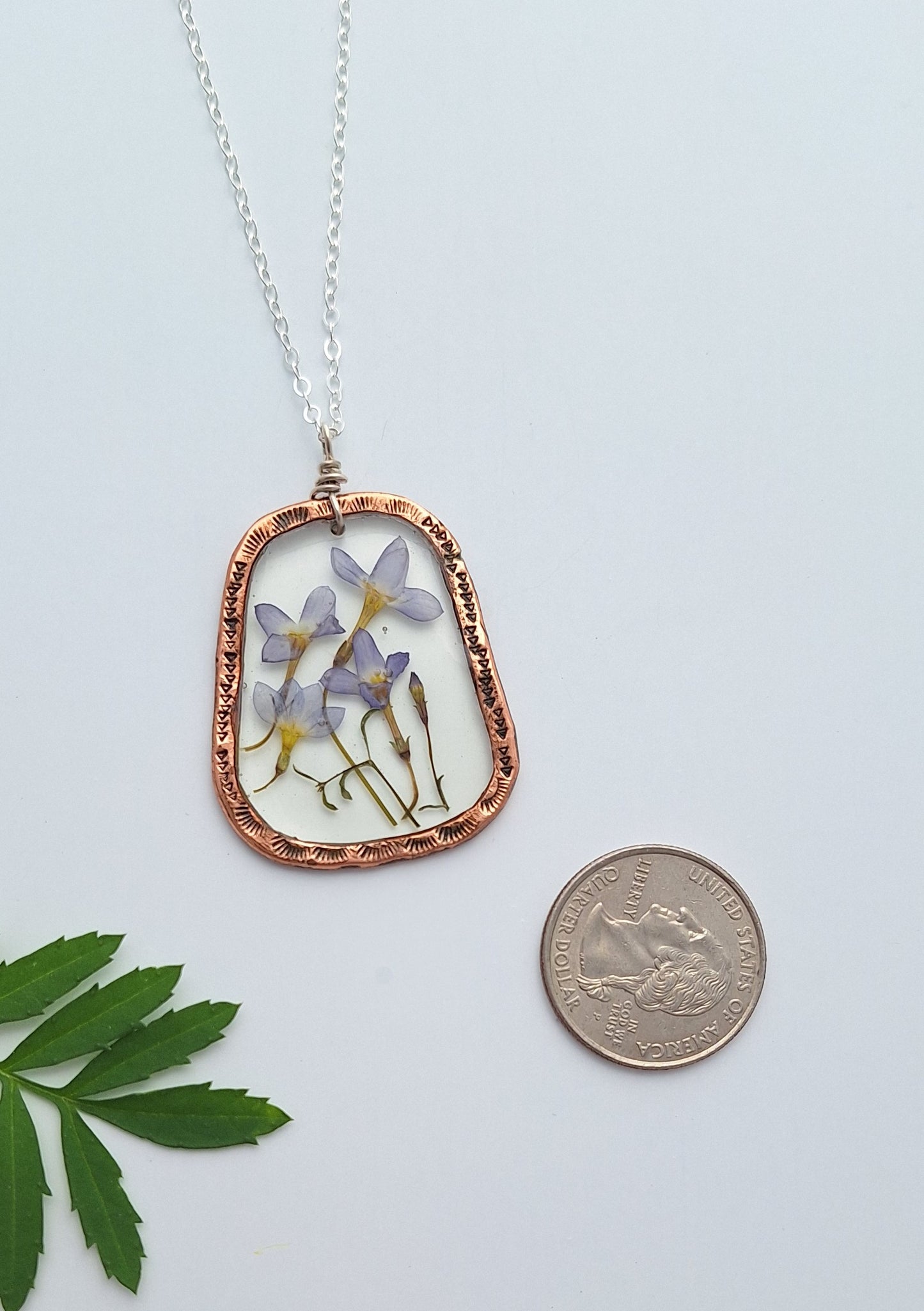 Bluet Necklace - pressed flower