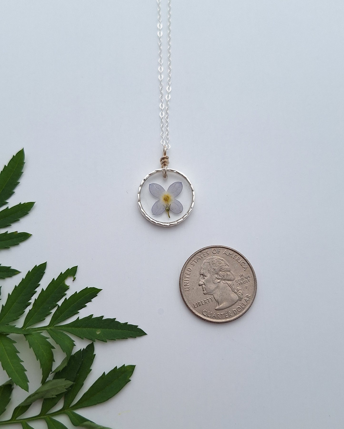 Little Bluet Necklace - pressed flower