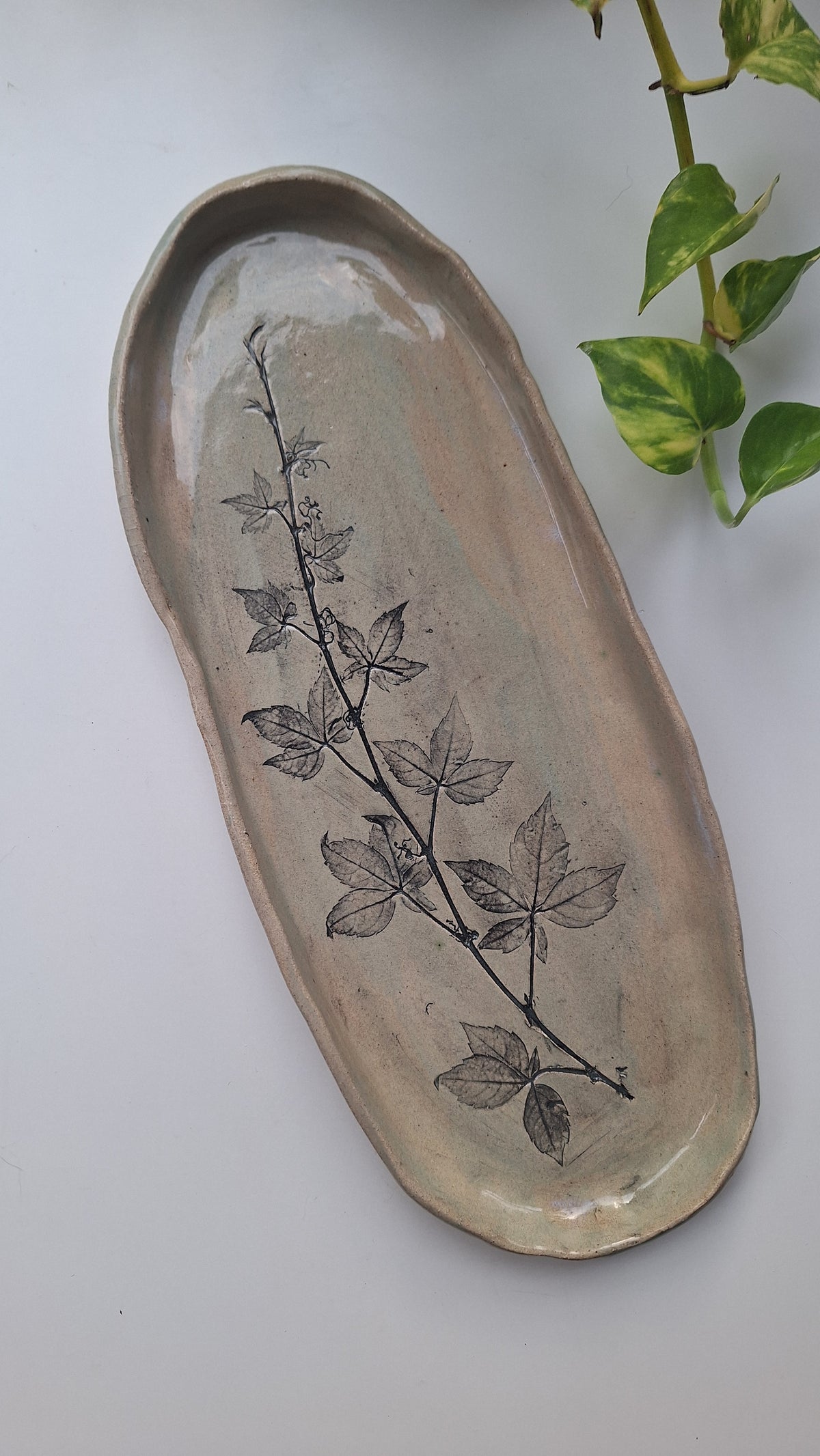 Virginia Creeper Platter