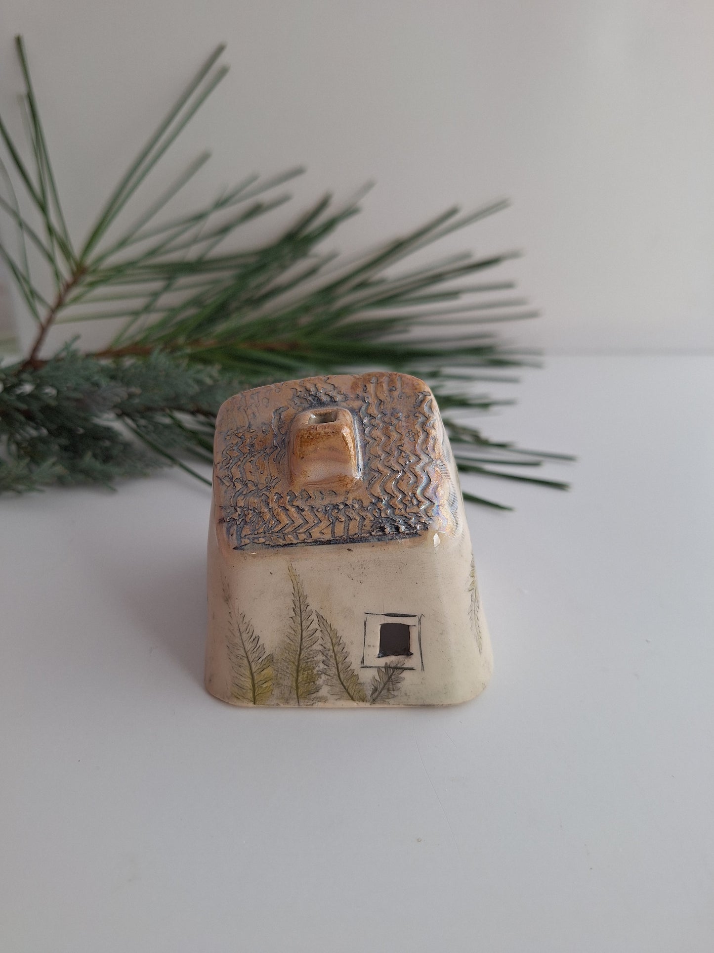 Tiny House - Lake house