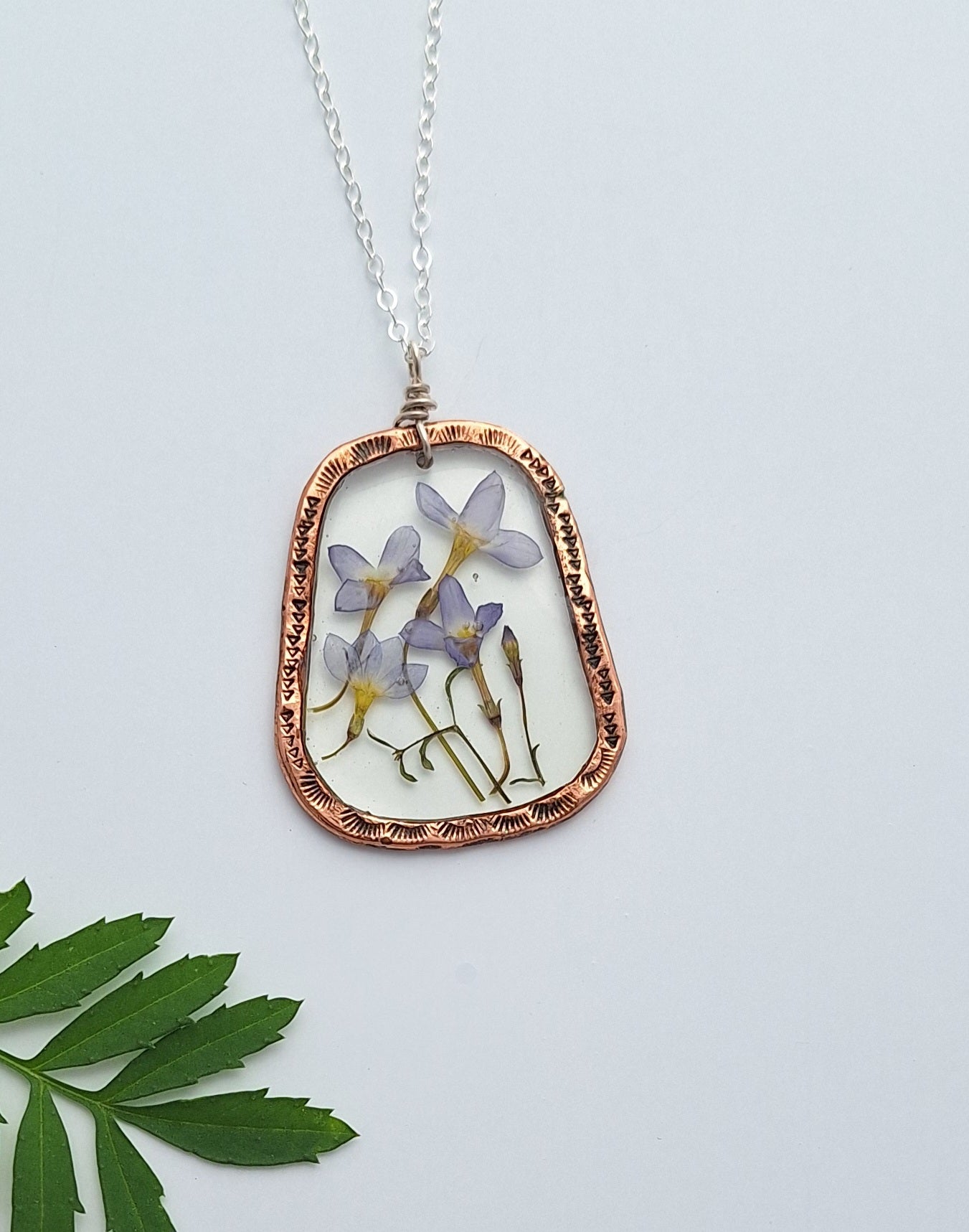 Bluet Necklace - pressed flower