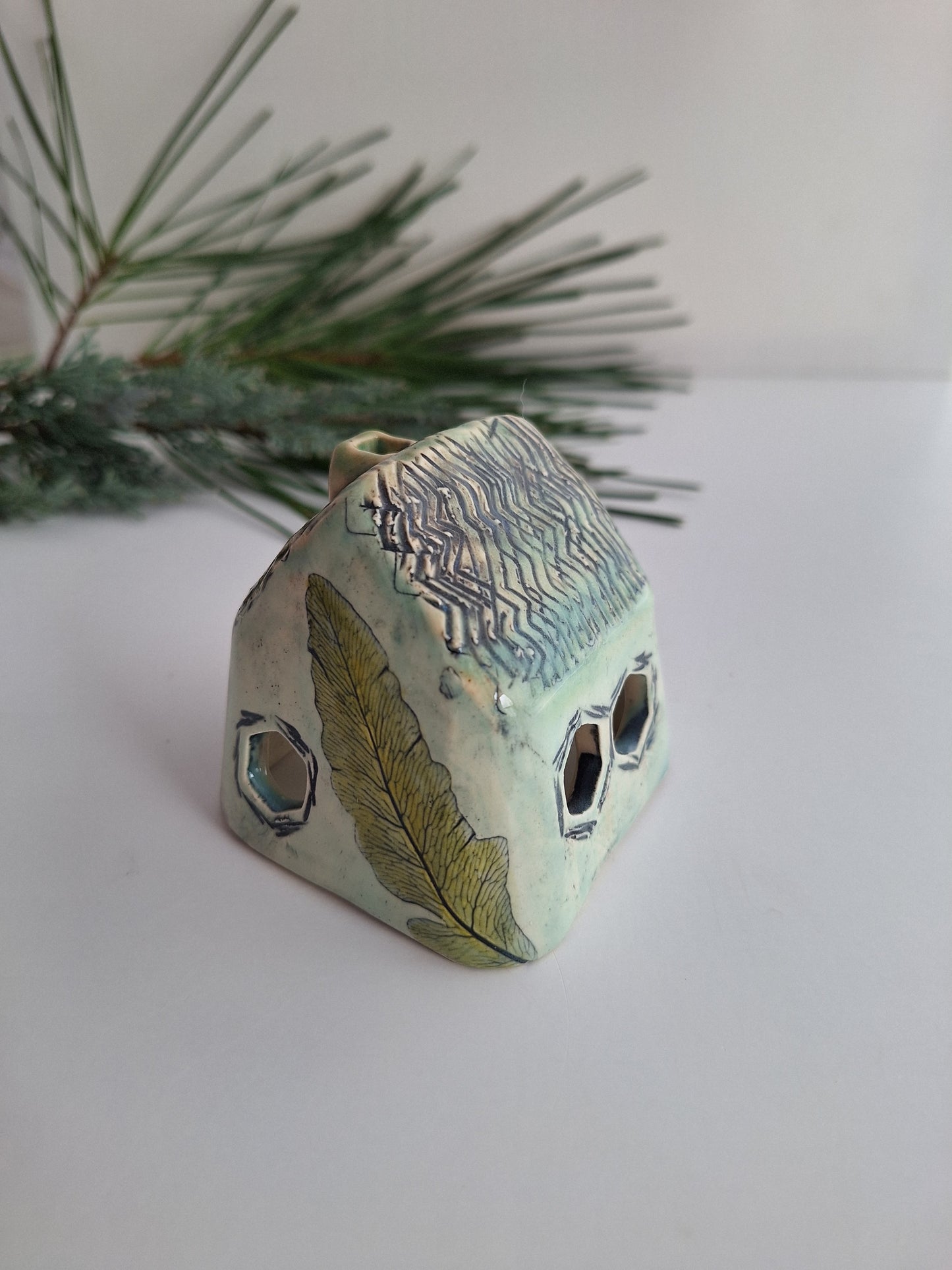 Tiny House - Aqua ferns