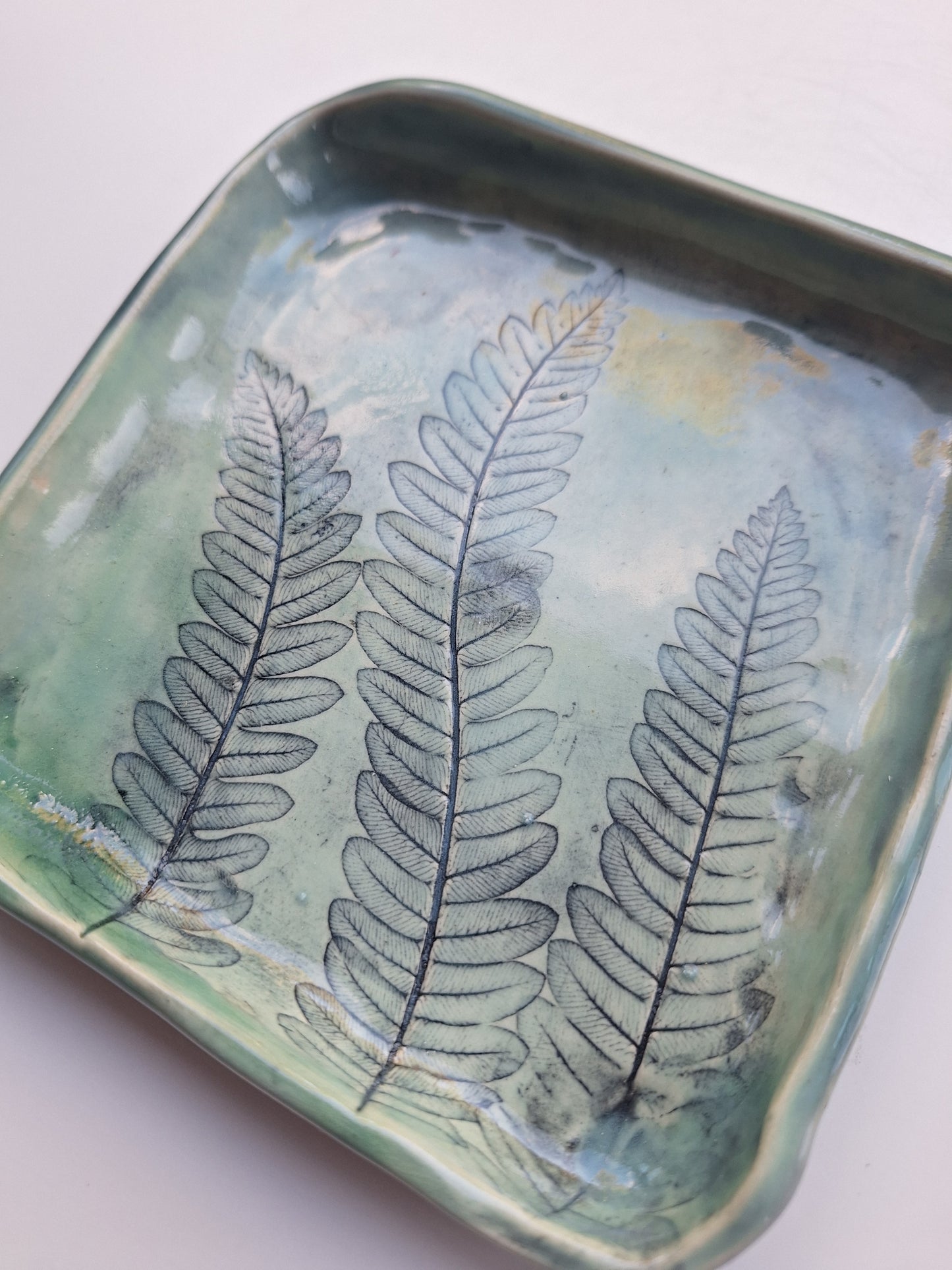 Interrupted Fern Plate