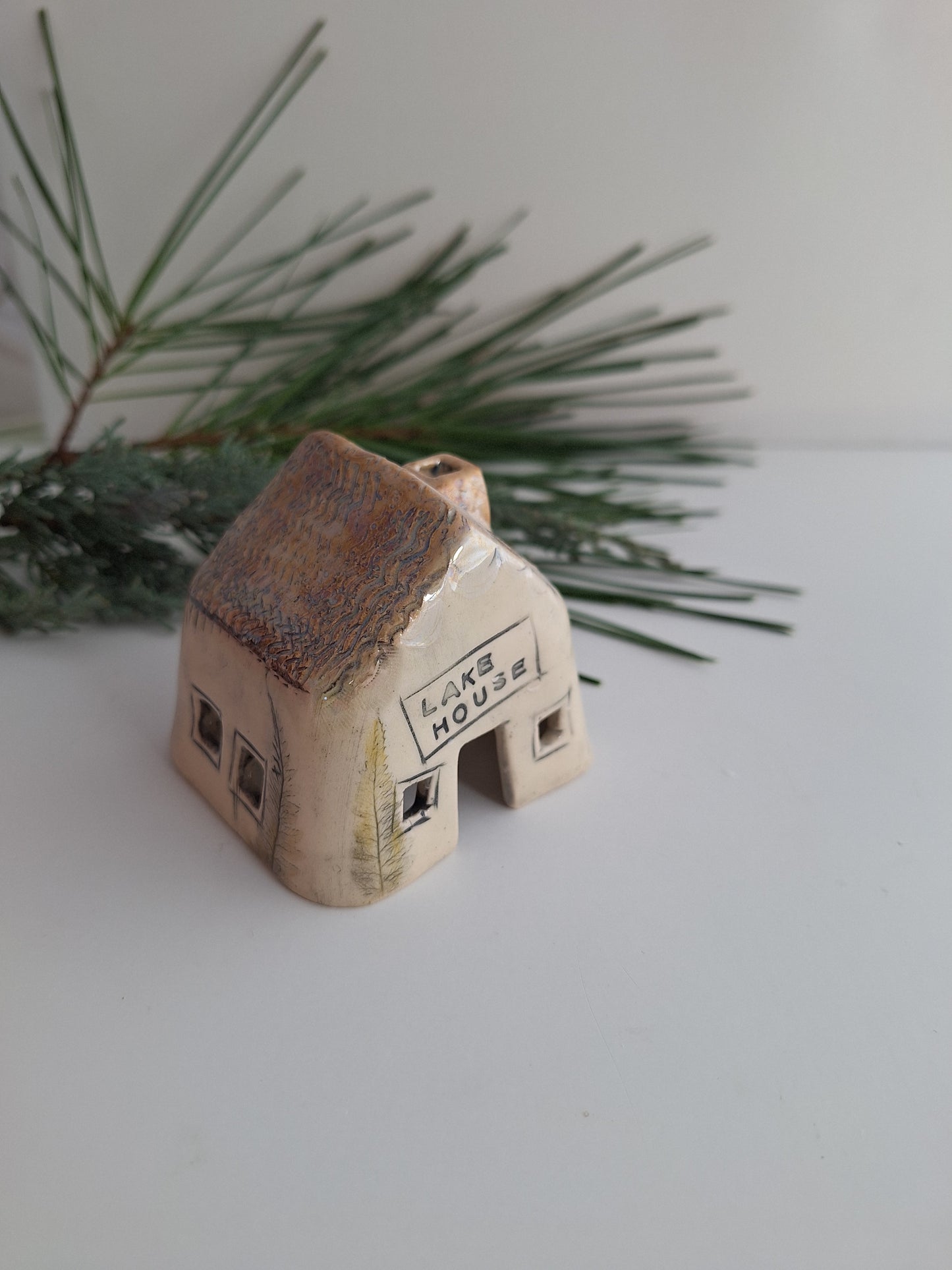 Tiny House - Lake house