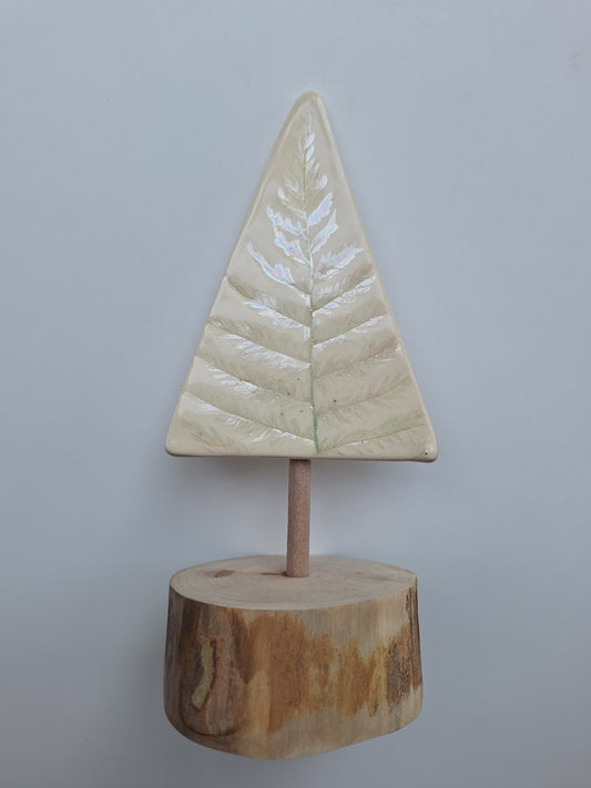 Fern Tree - 7"
