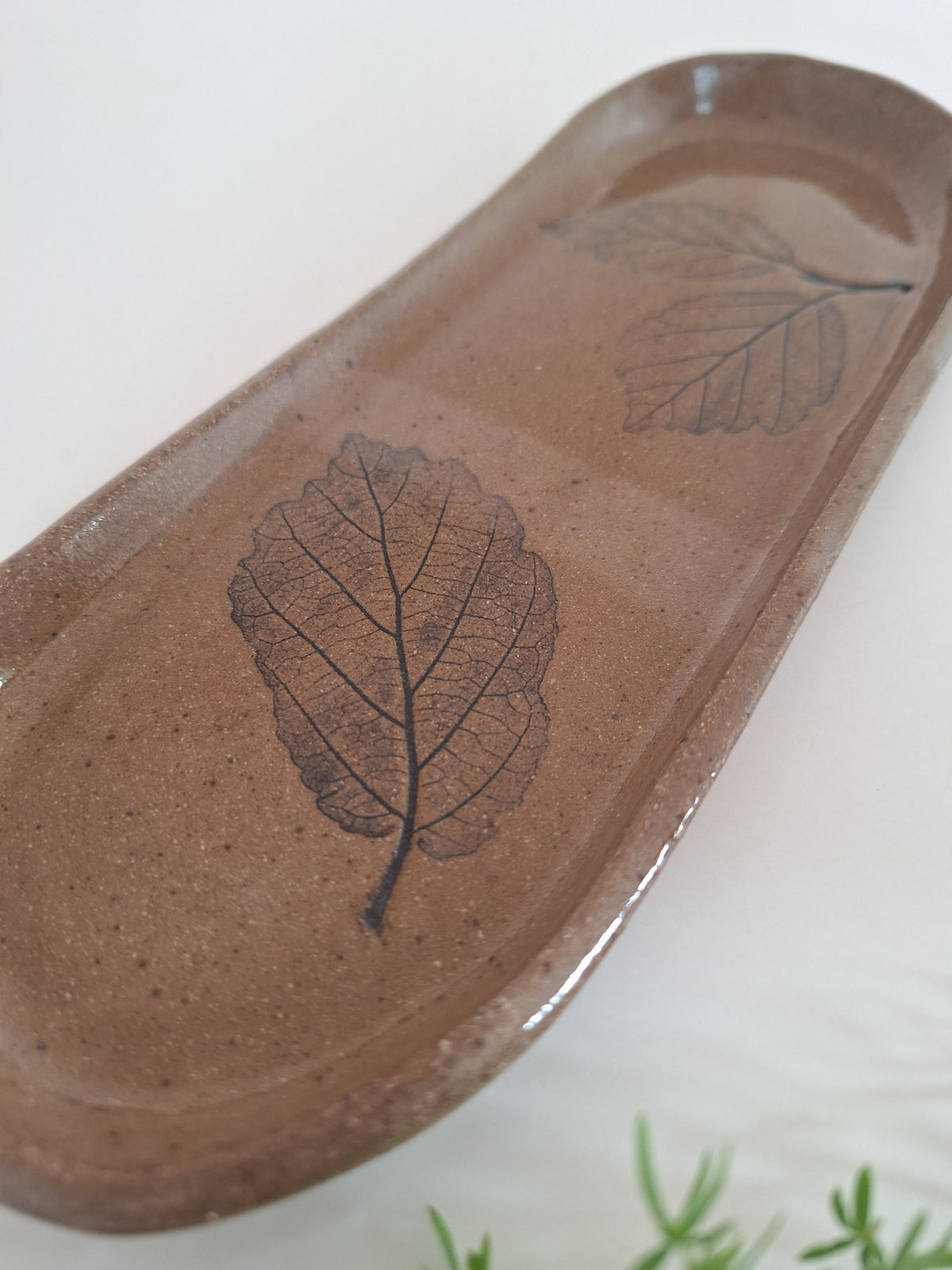 Witch Hazel Plate