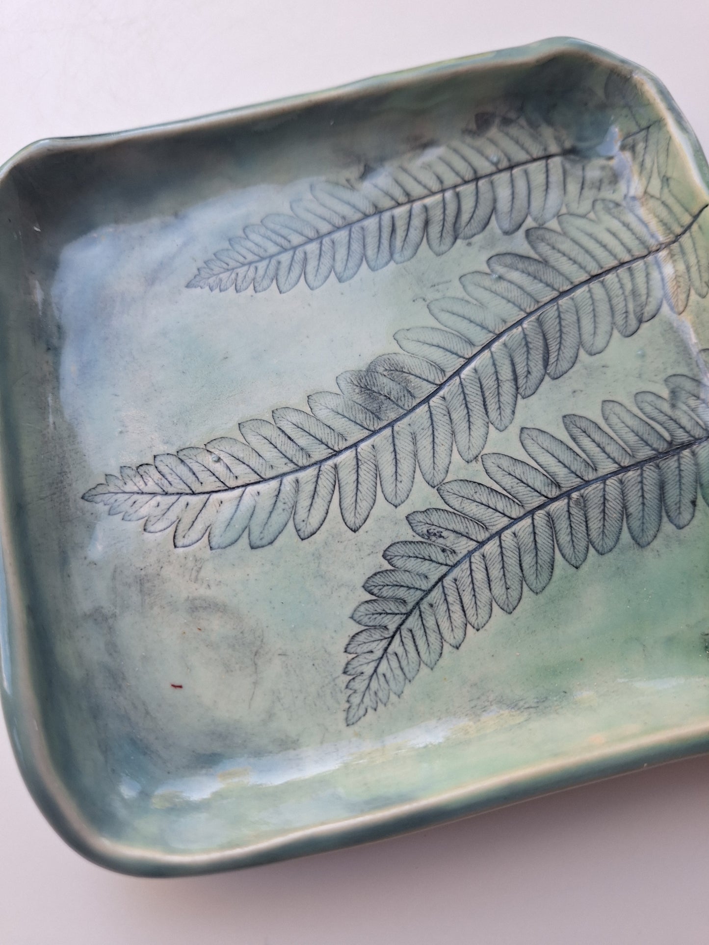 Interrupted Fern Plate
