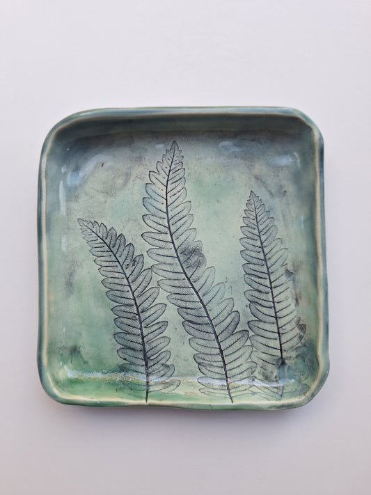 Interrupted Fern Plate