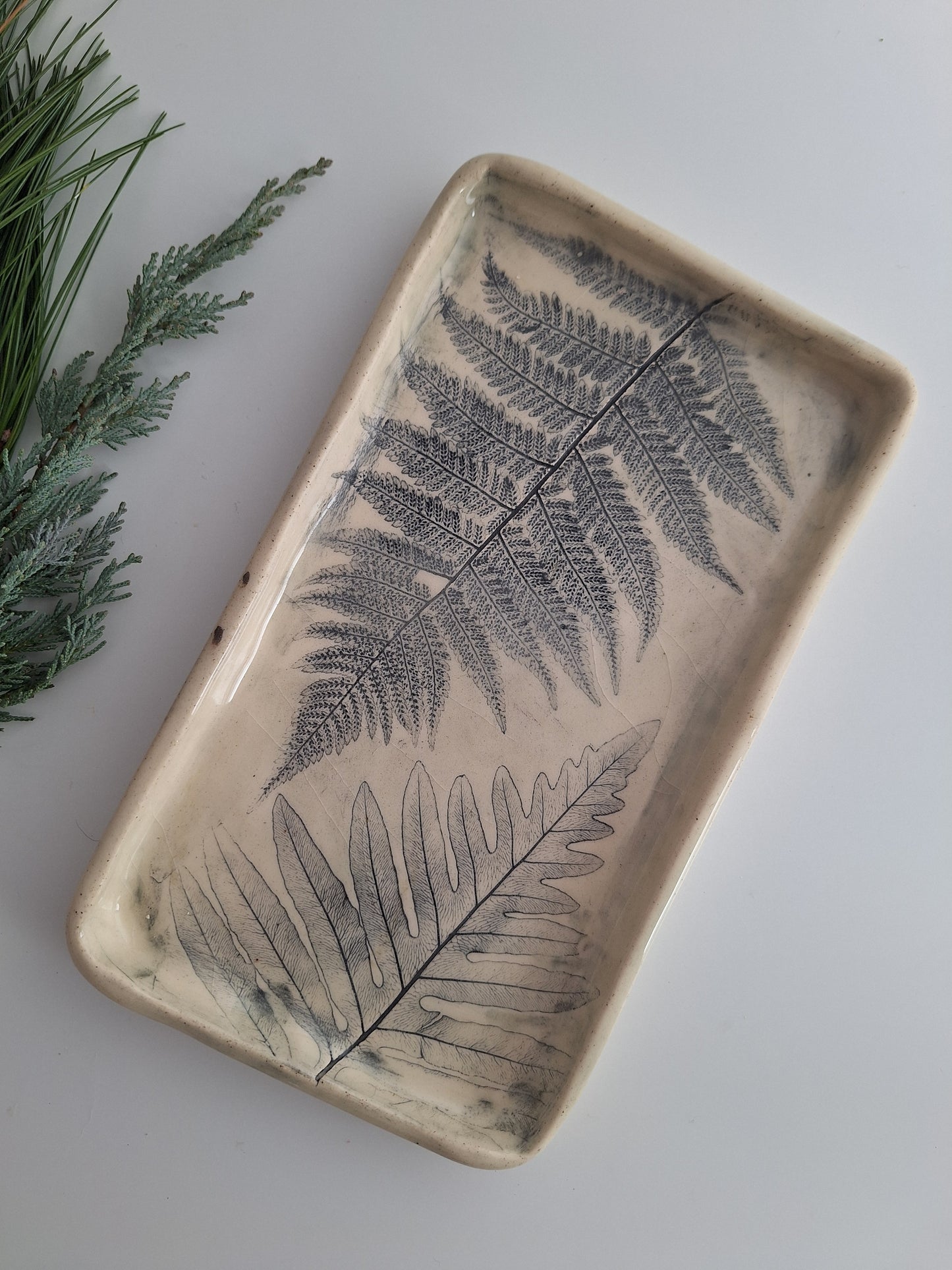 Wild Fern Plate