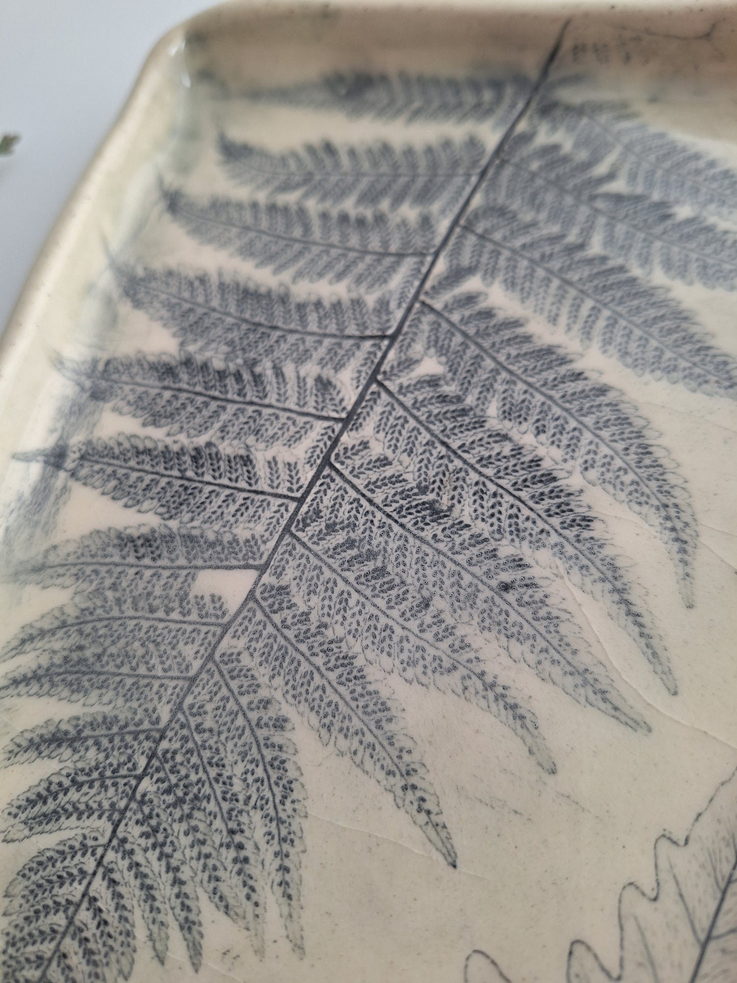 Wild Fern Plate
