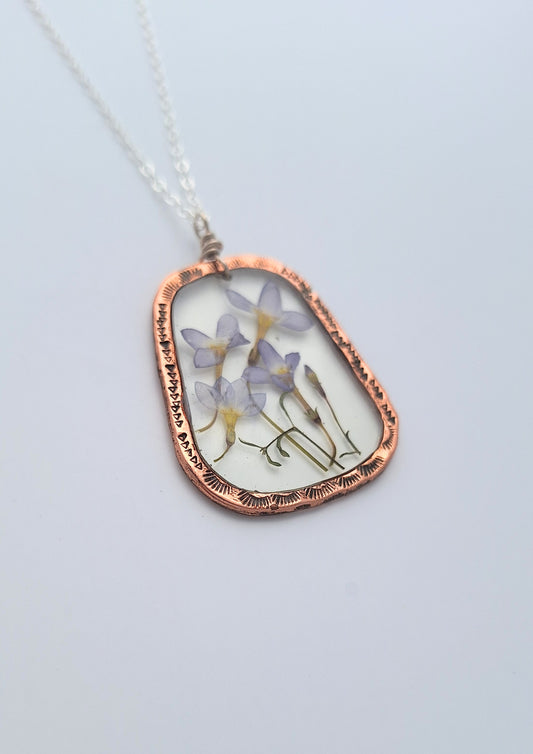 Bluet Necklace - pressed flower