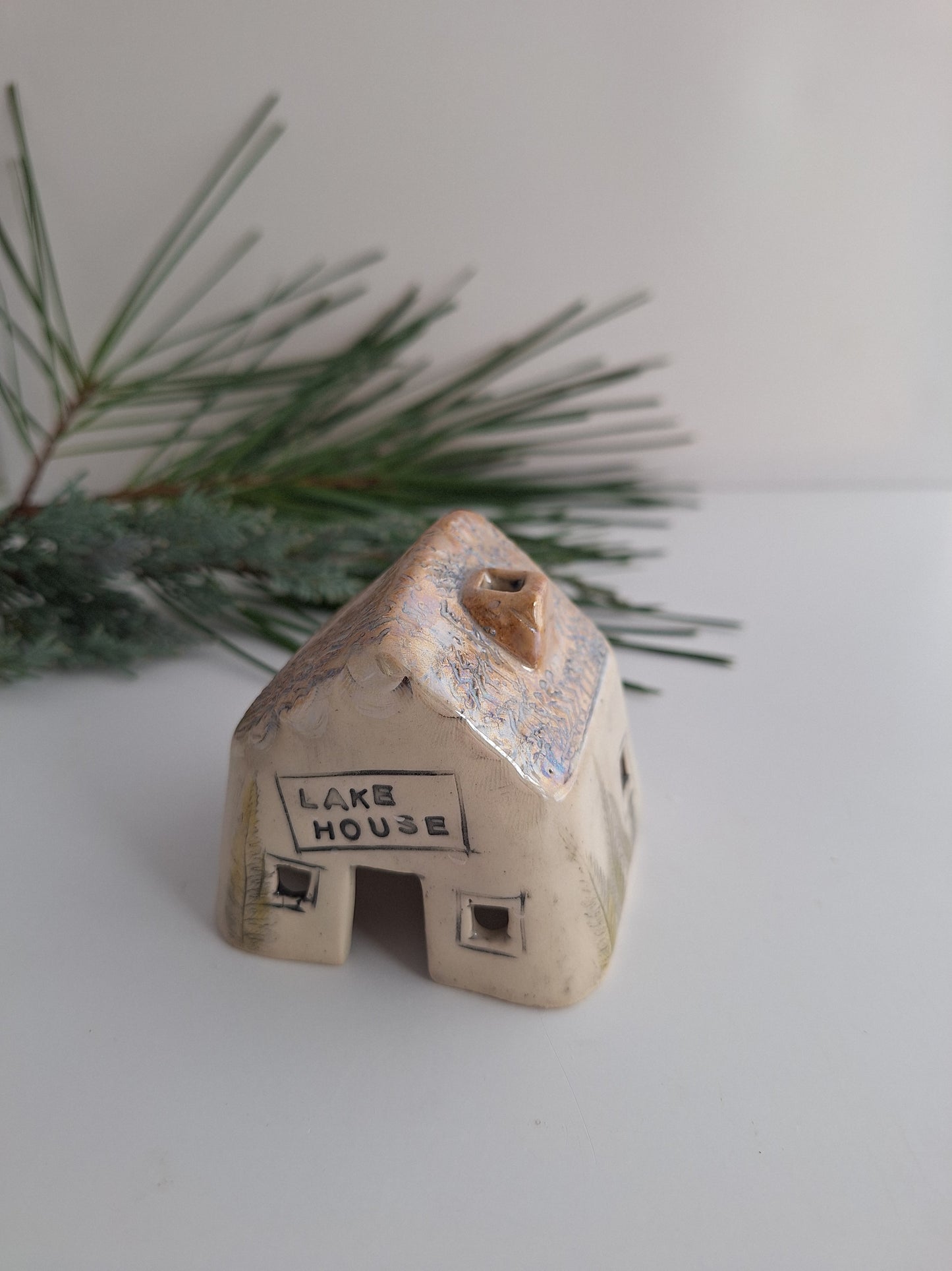 Tiny House - Lake house