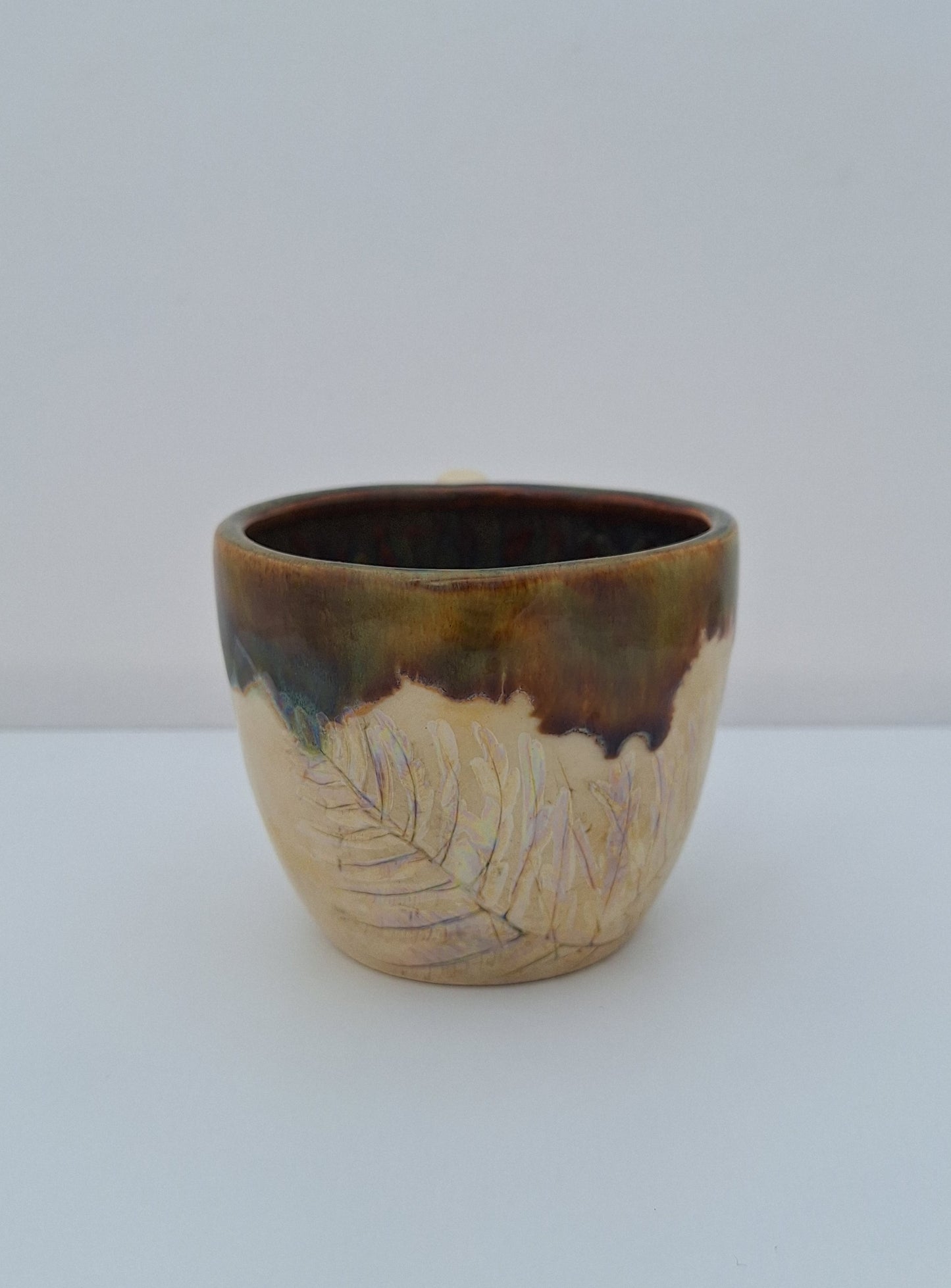 Little Fern Mug