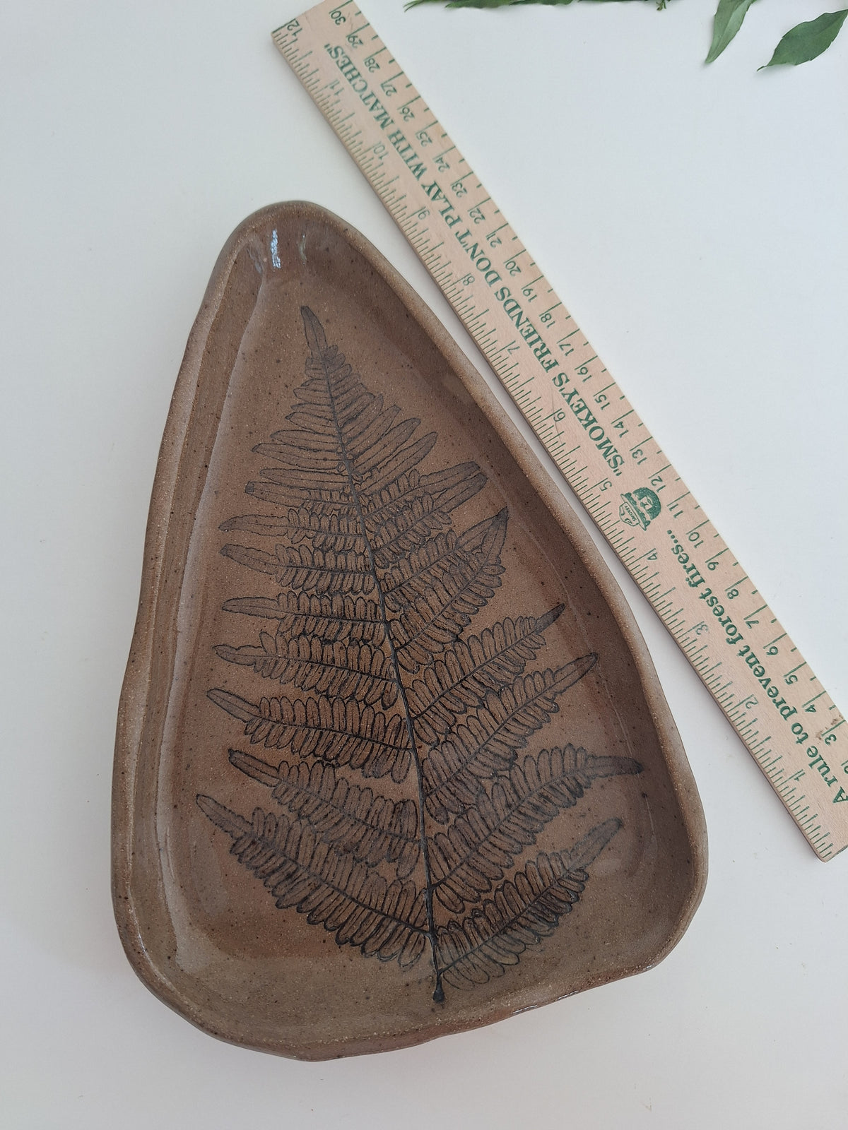 Wild Fern Plate