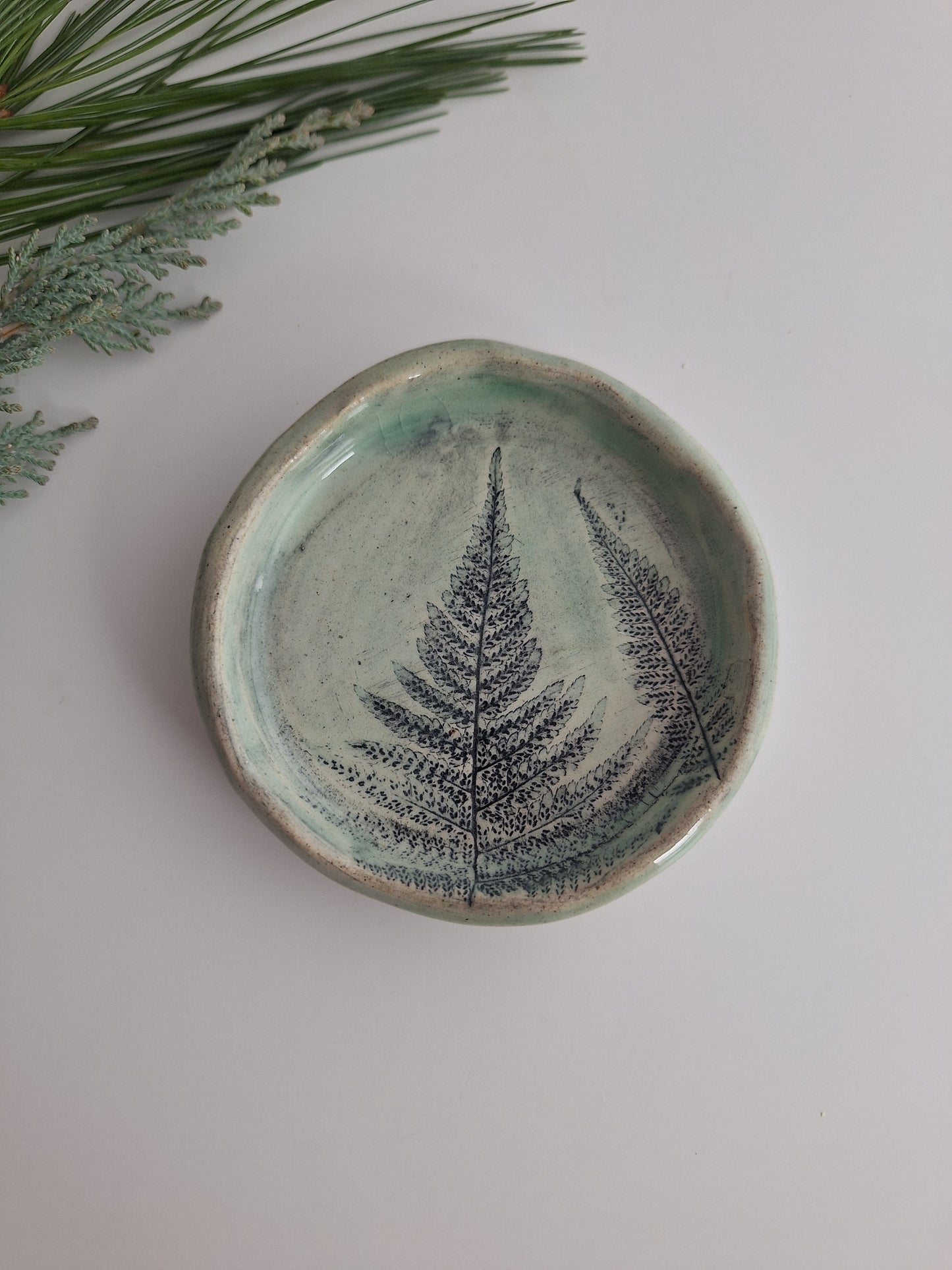 Little Fern Plate