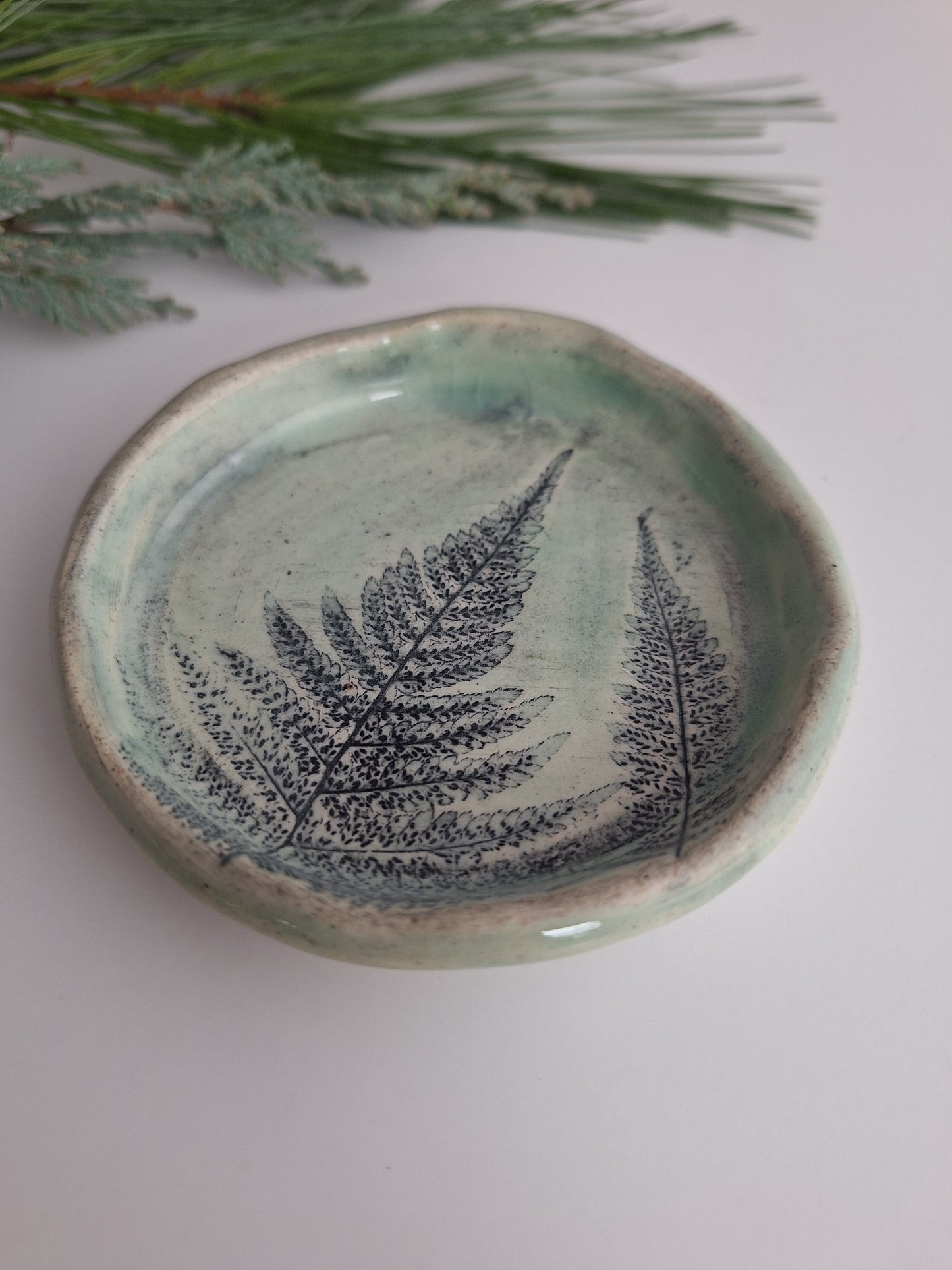 Little Fern Plate