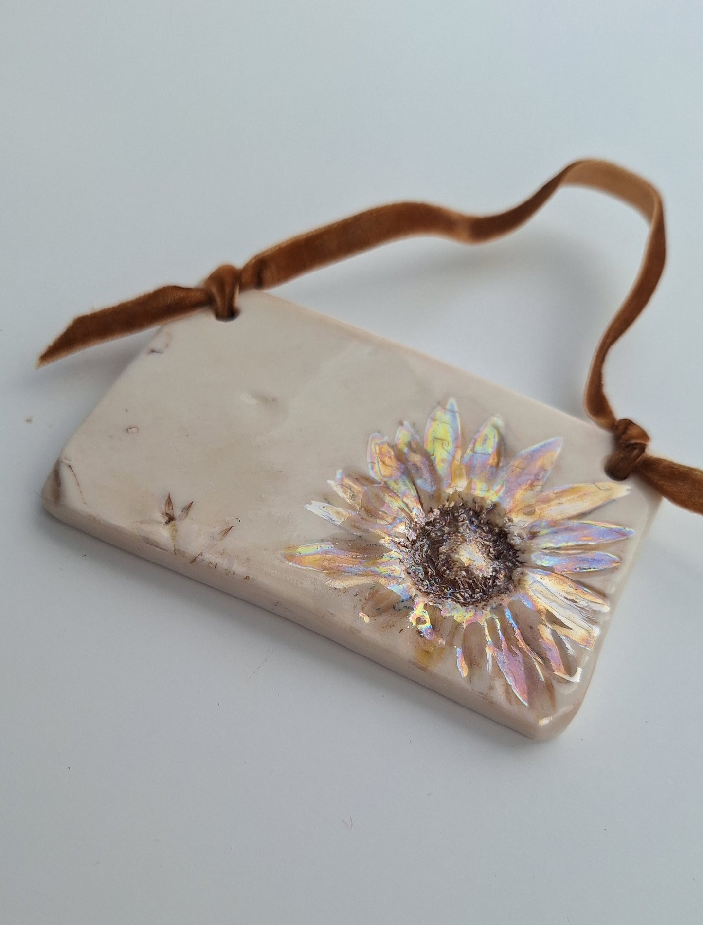 Pressed Flower Plaque - Wild Daisy