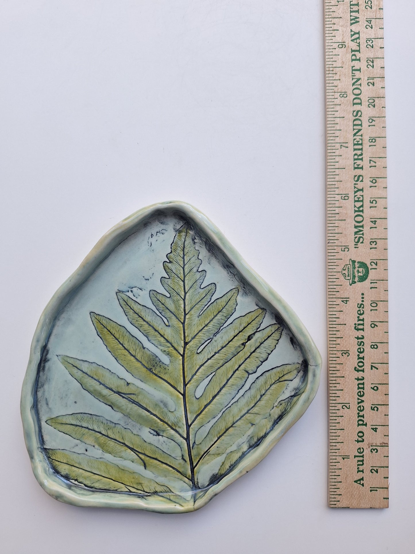 Sensitive Fern Plate