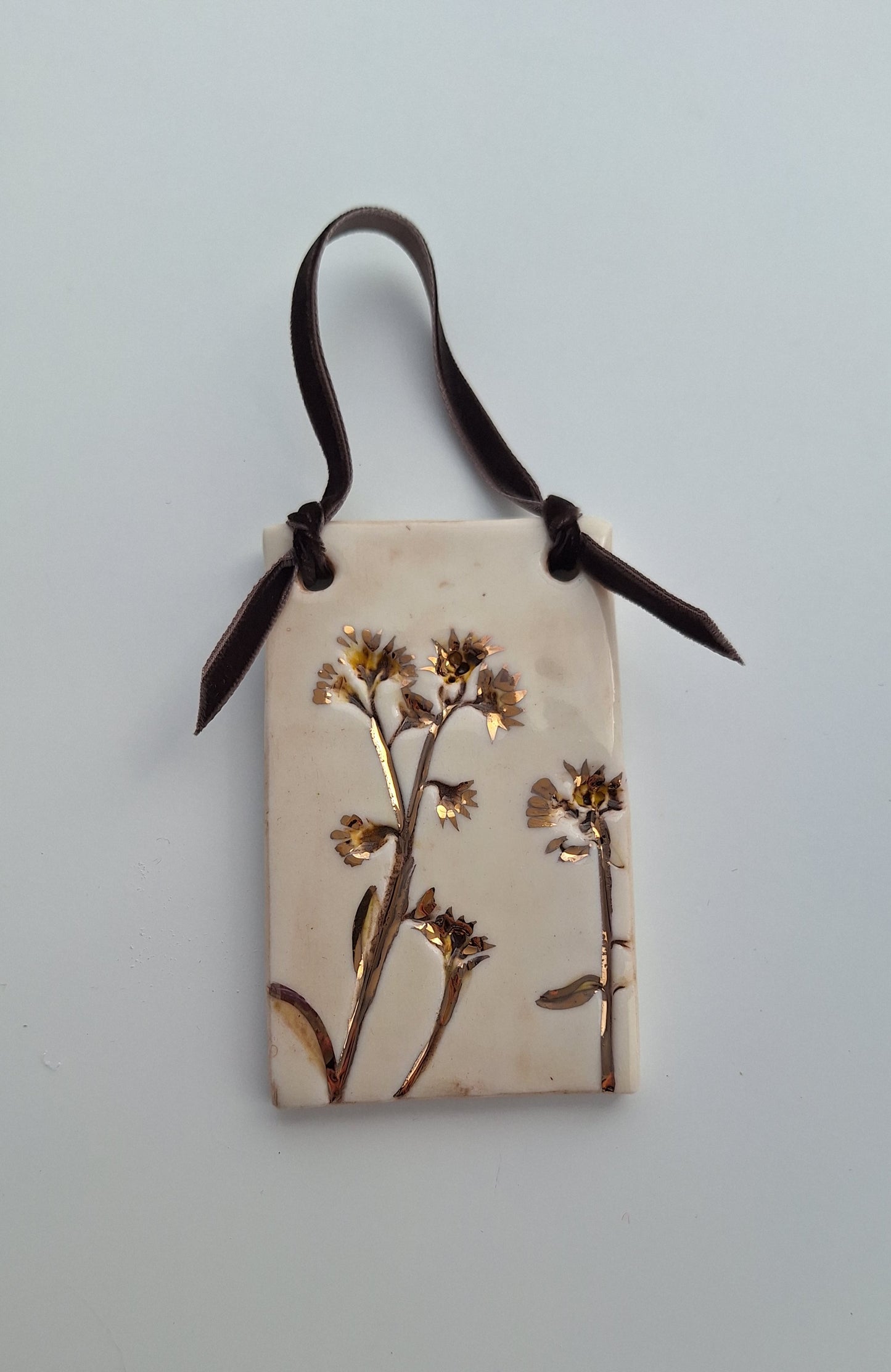 Pressed Flower Plaque - Erigeron