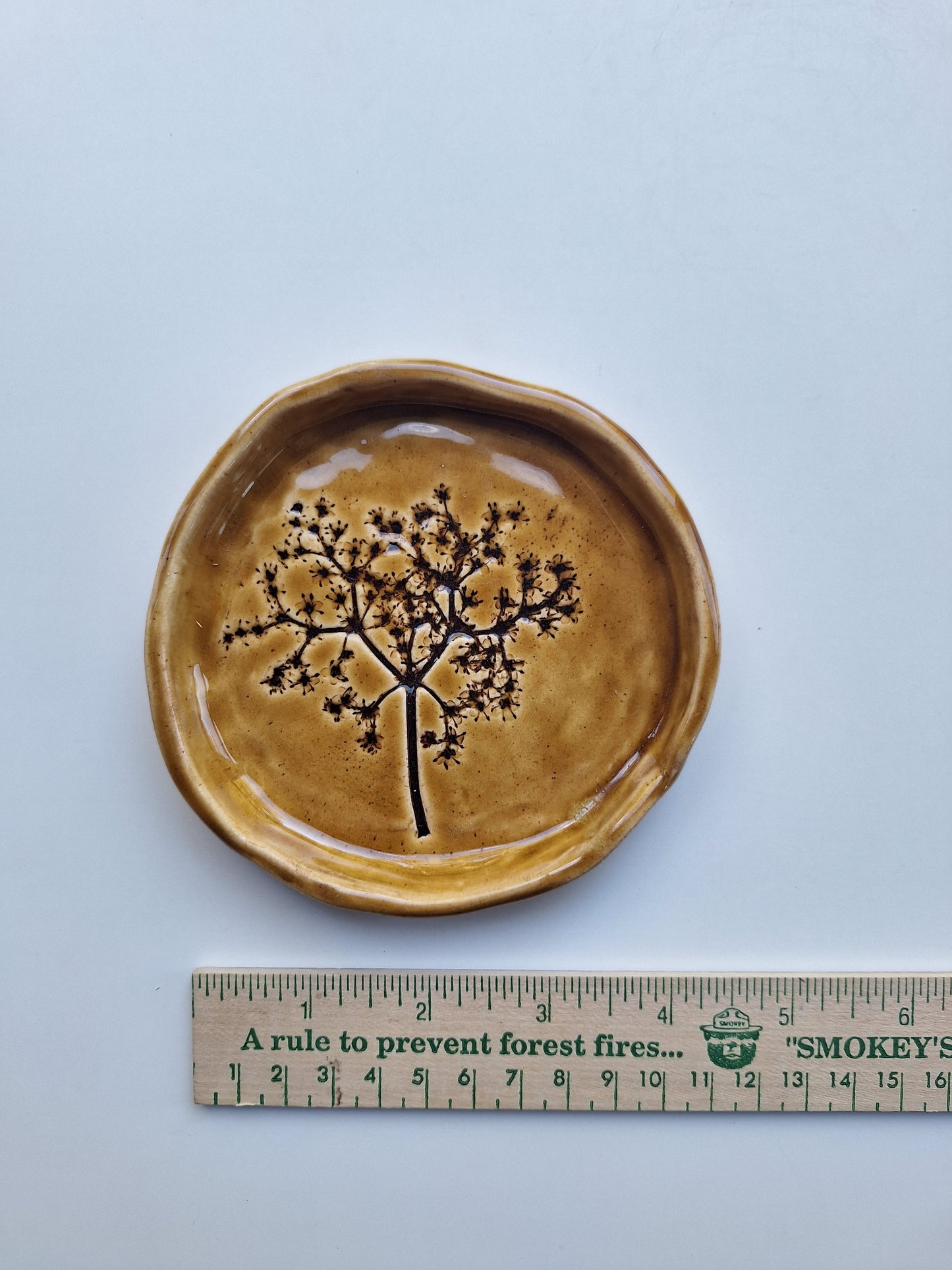 Elderberry Plate