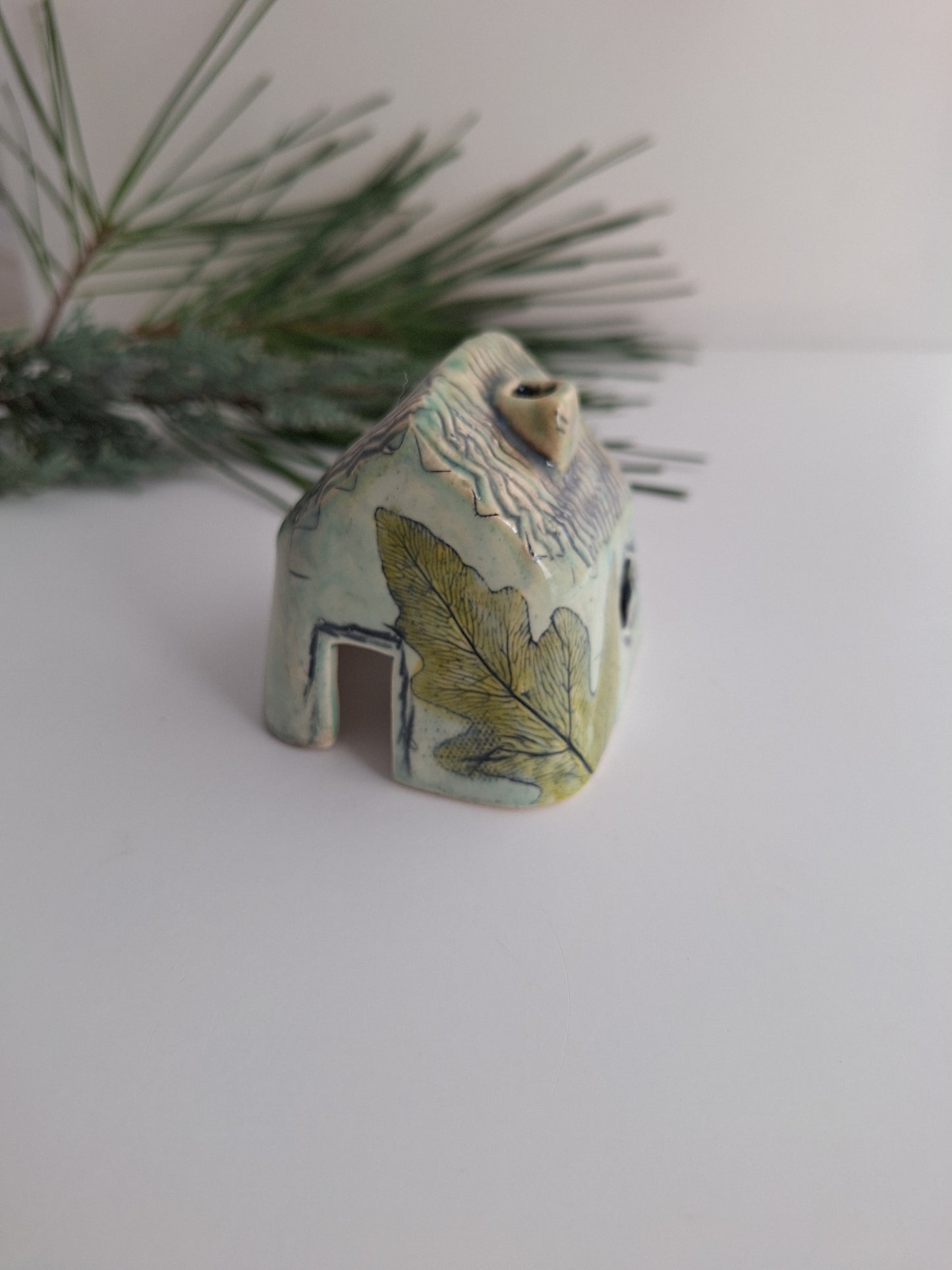 Tiny House - Aqua ferns