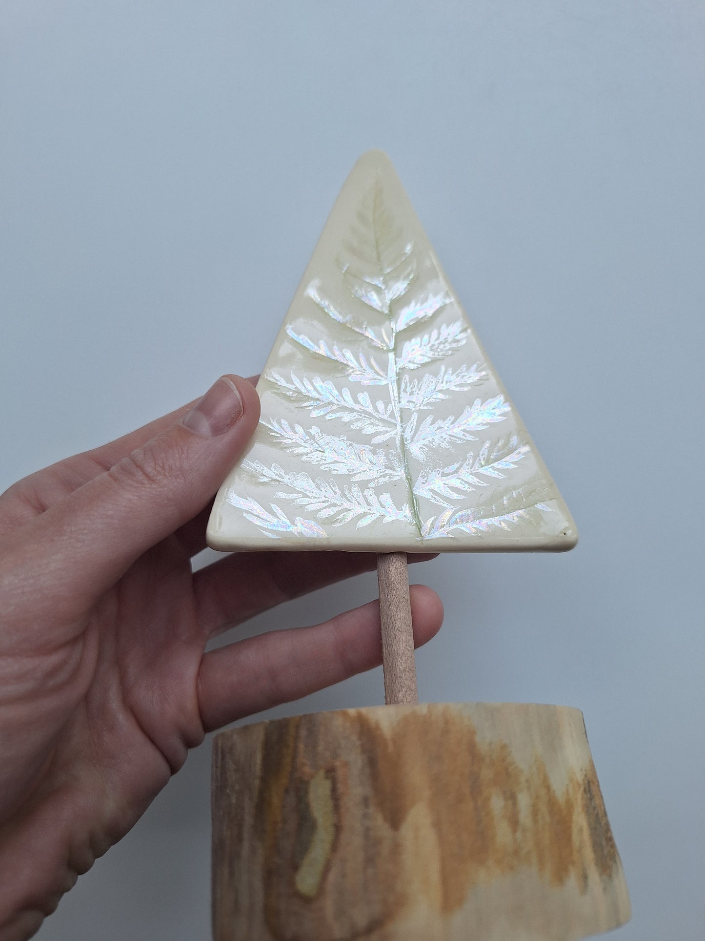 Fern Tree - 7"