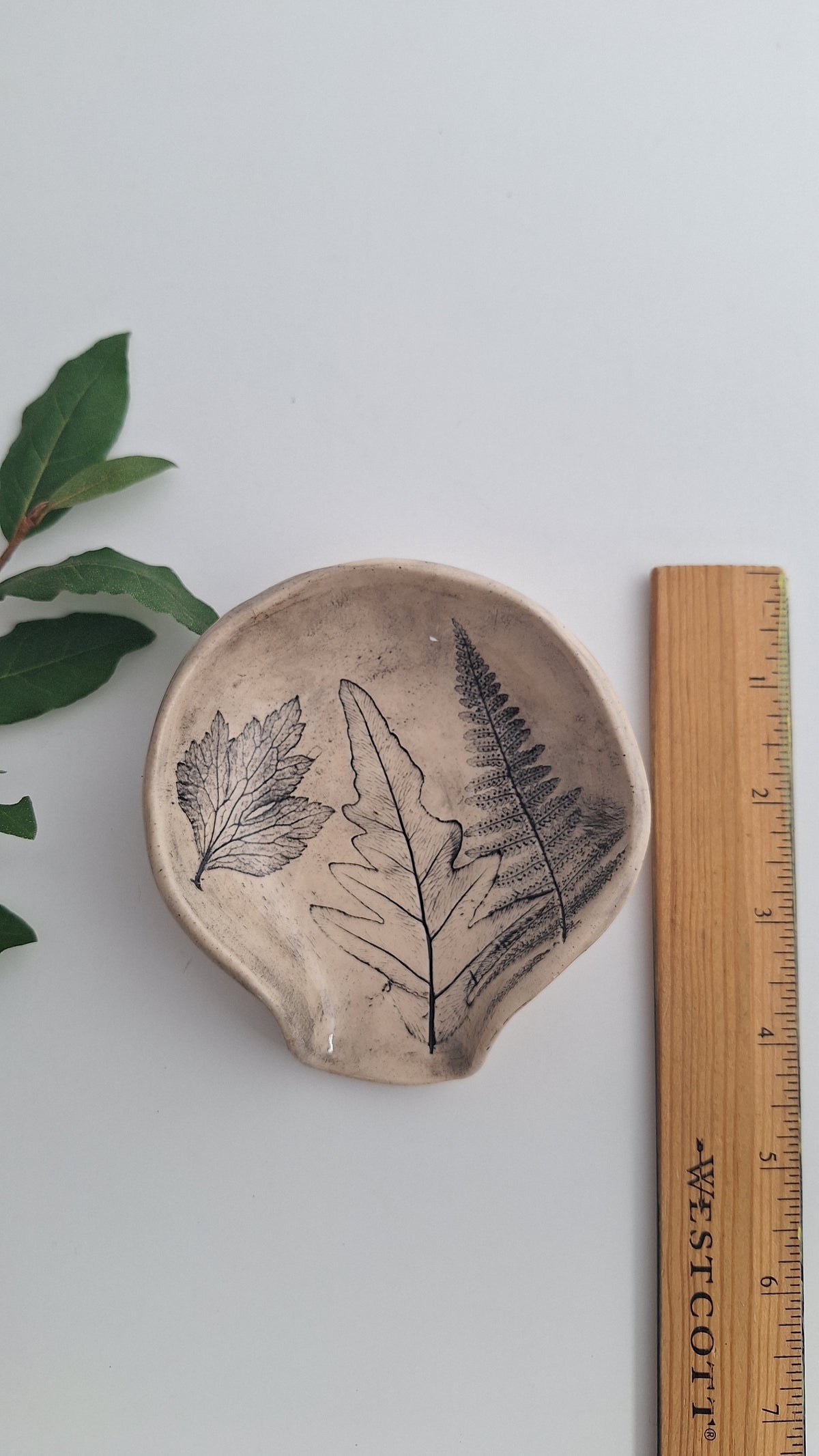 Spoon Rest - Fern & flora