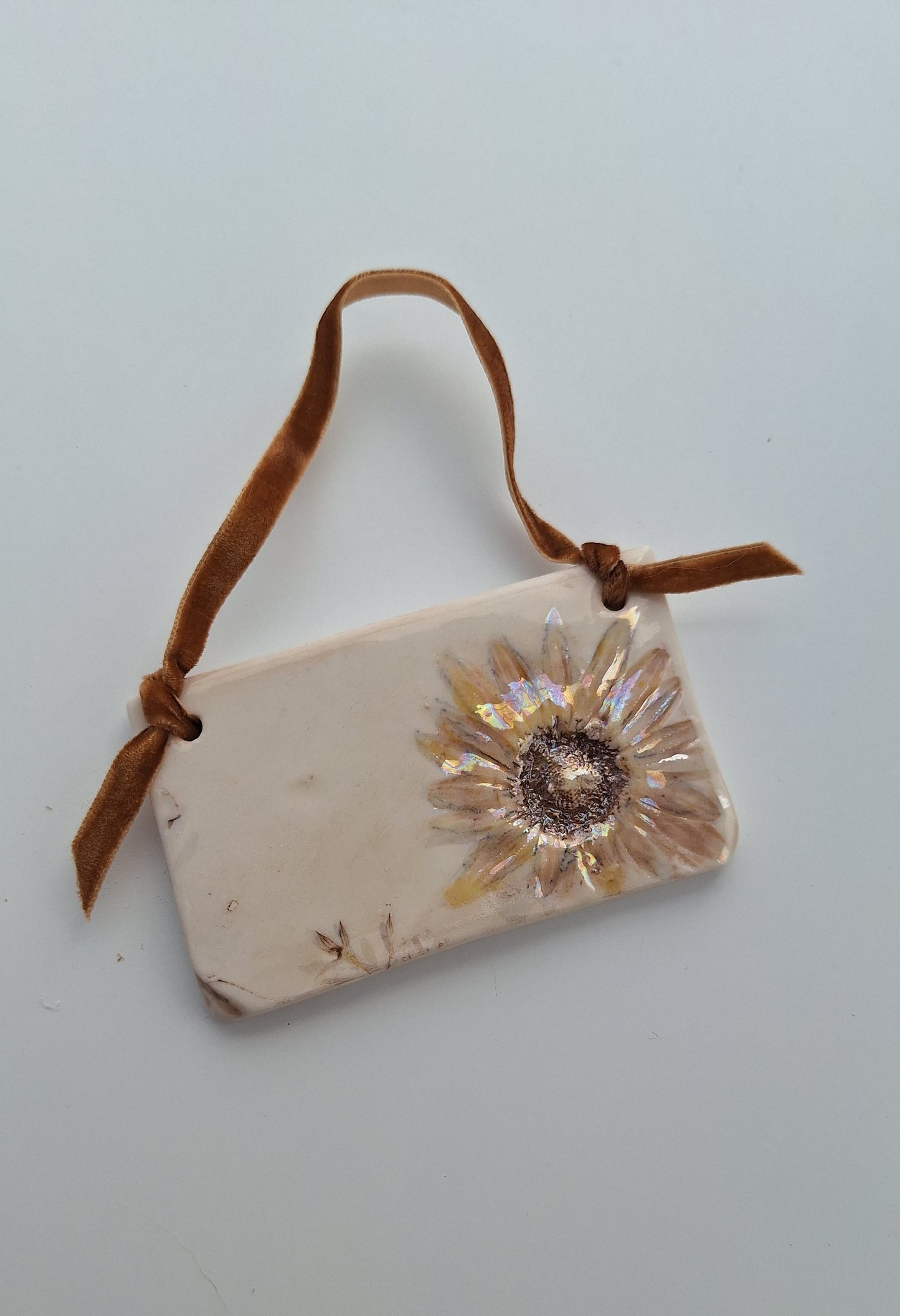 Pressed Flower Plaque - Wild Daisy