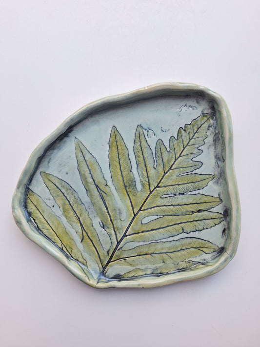 Sensitive Fern Plate