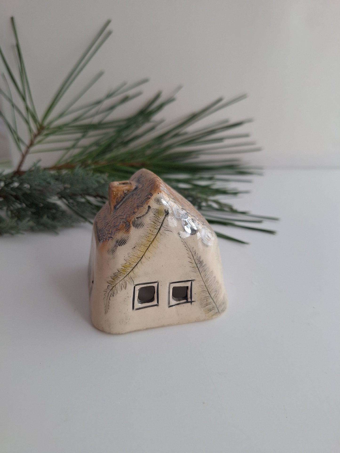 Tiny House - Lake house