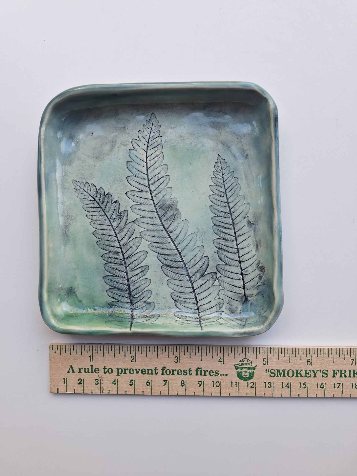 Interrupted Fern Plate