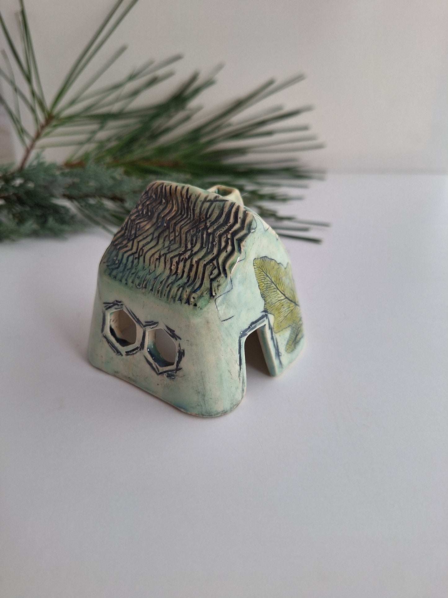 Tiny House - Aqua ferns