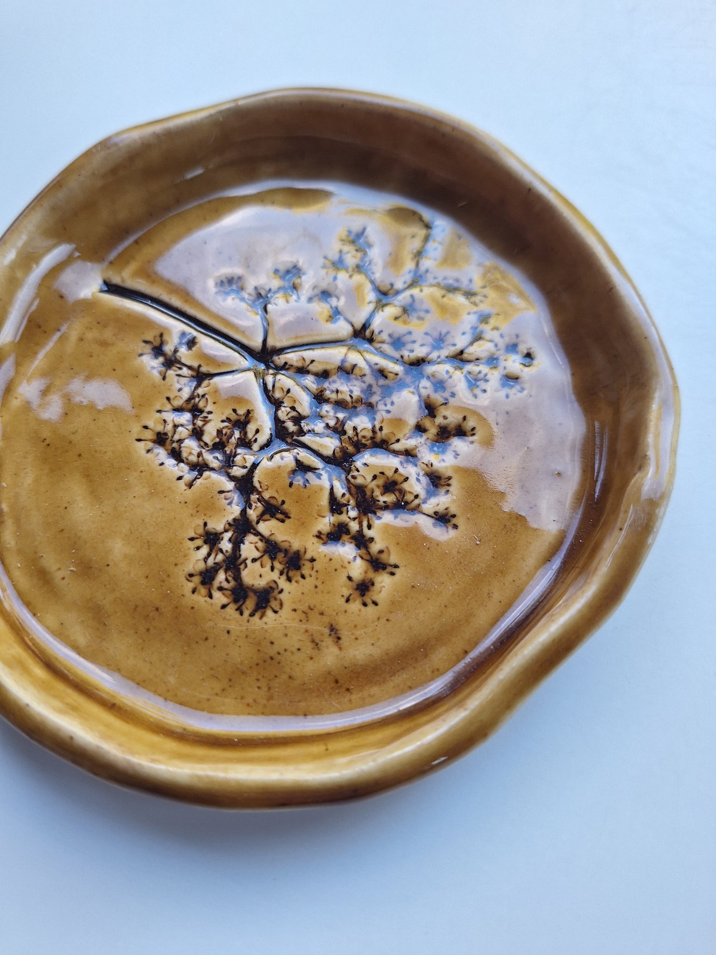 Elderberry Plate